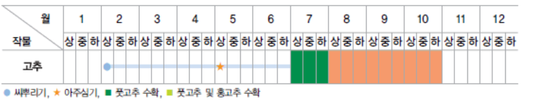 남부,중부지방 고추 파종, 모종 심는 시기, 재배 방법, 수확 시기