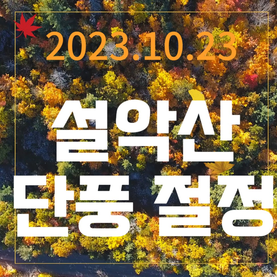 2023.10.23 설악산단풍절정