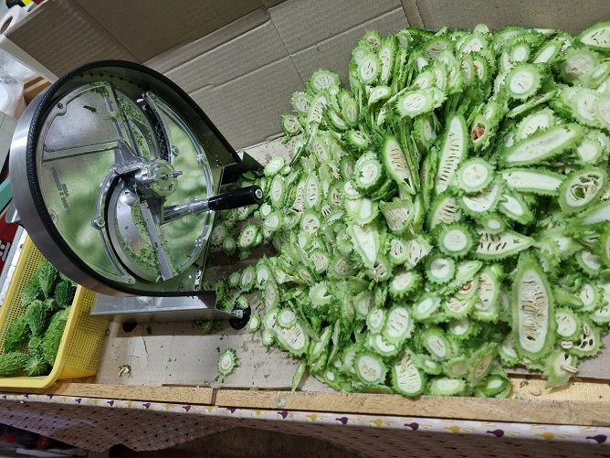 여주 열매 절단