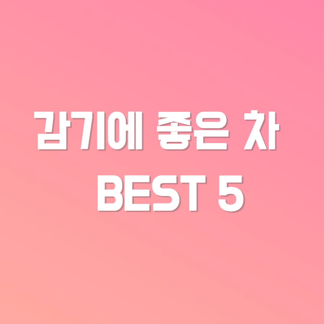 감기에 좋은 차 BEST 5
