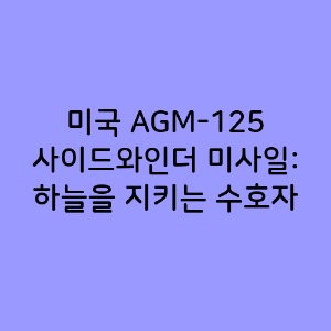 미국 AGM-125 사이드와인더 미사일