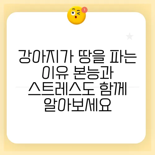 강아지가 땅을 파는 이유 본능과 스트레스도 함께 알아보세요
