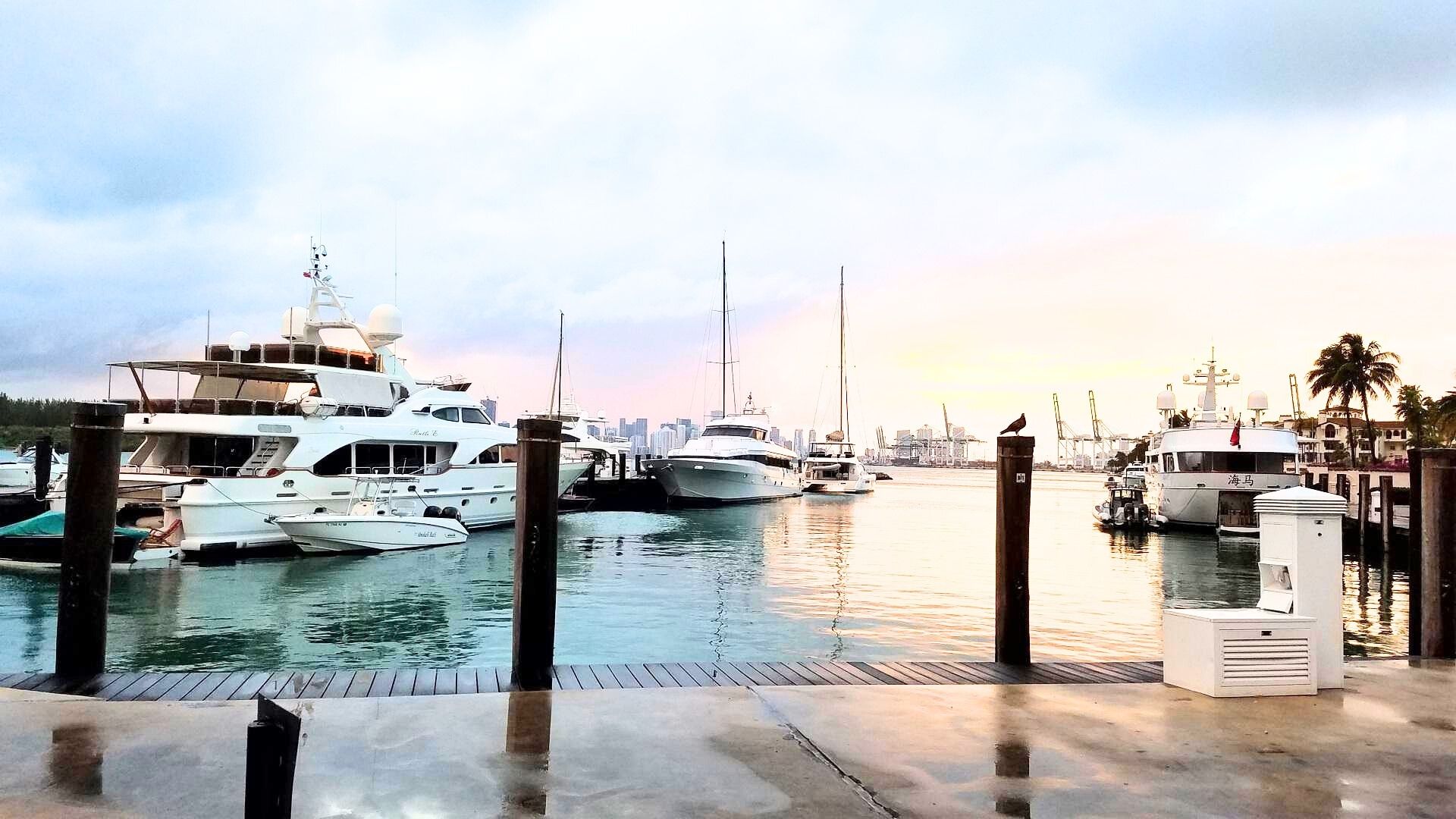 요트가 있는 항구