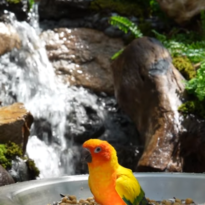 가평 베니아새정원