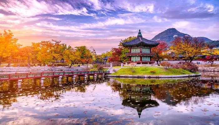 3월에 가볼 만한 국내 여행지 BEST 7 (봄꽃 명소 포함)
