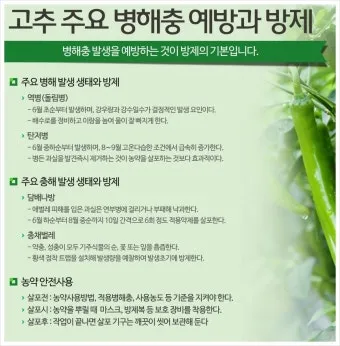 농사 병해충 예방법 진딧물 응애 노균병 탄저병 대처_17