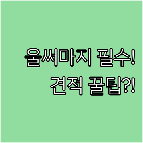 HIFU RF 실리프팅 조합 울써마지..