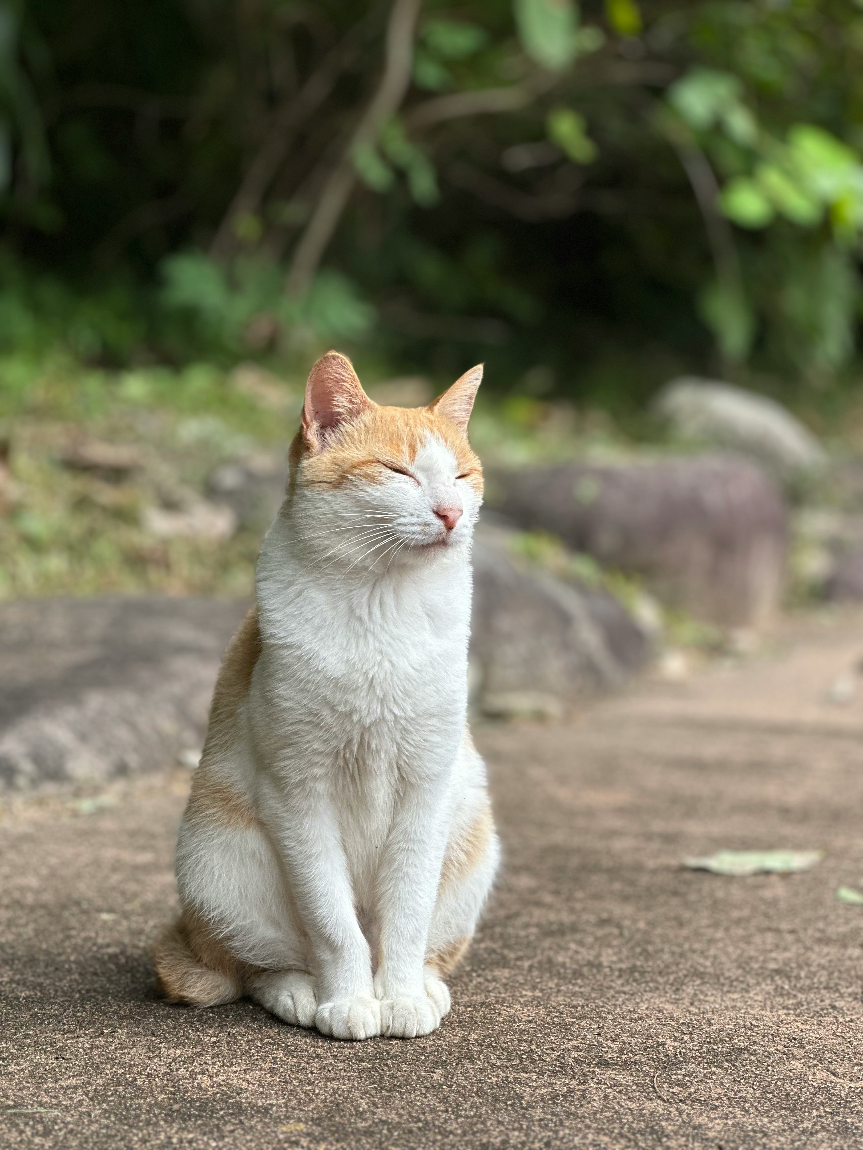 강원도 고성 가볼만한곳