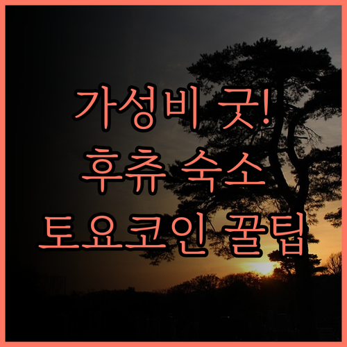 토요코 인 도쿄 히가시 후츄 역 키타