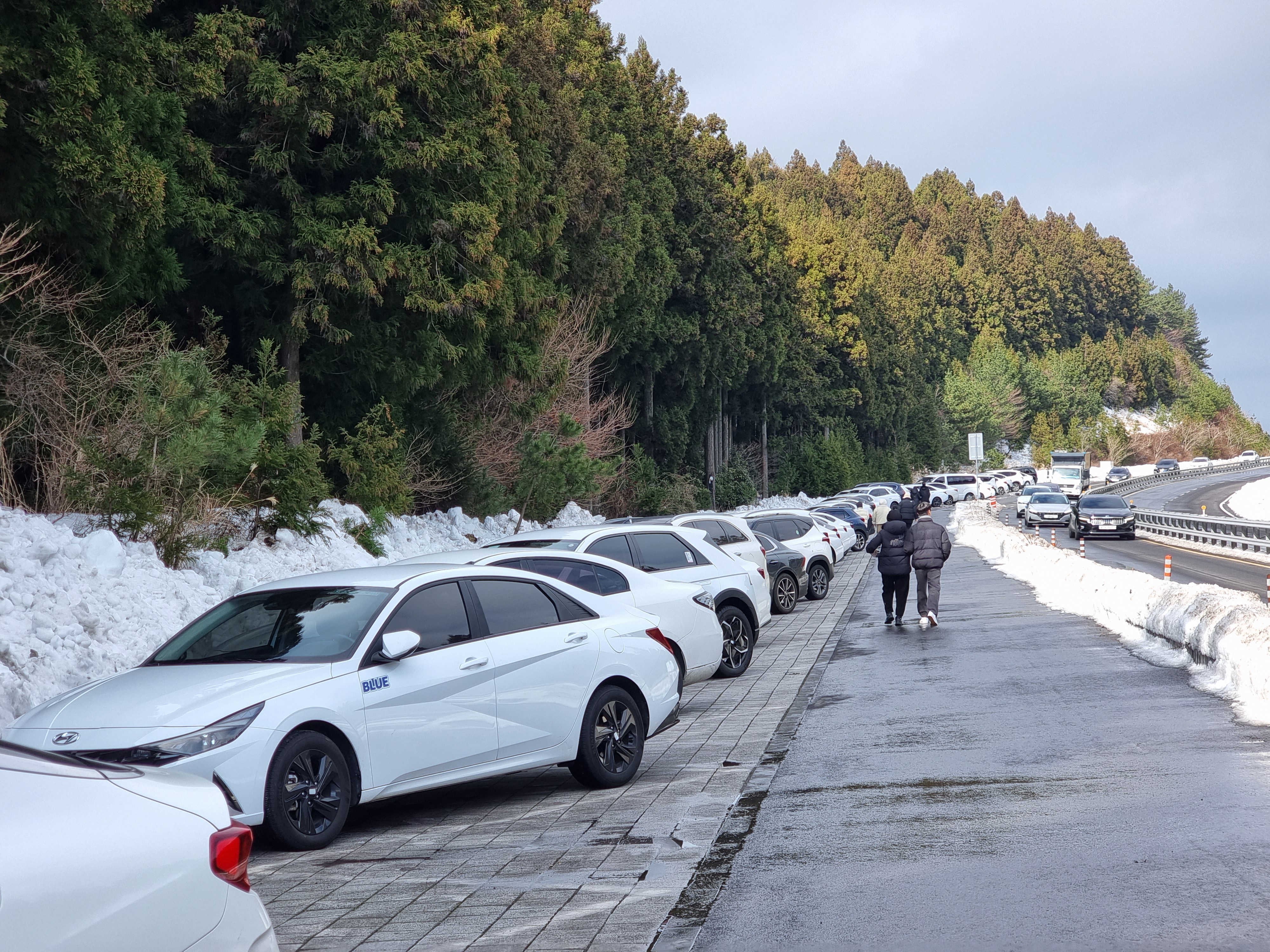 제주 사려니숲길 소형주차장