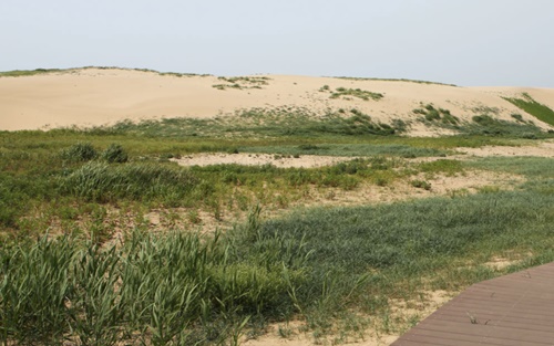 태안 가볼만한곳