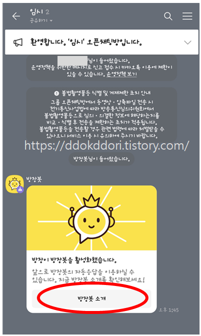 카카오 톡 오픈 채팅 자동 공지 방법(방장 봇)