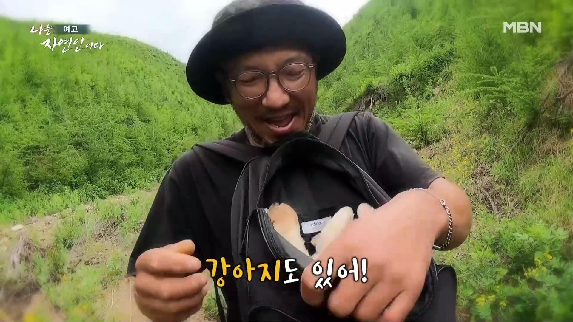 나는 자연인이다 40대 강아지 순이와 산에 살며 캠핑,주꾸미 삼겹살,열무 비빔국수,산나물 튀김 칠전팔기 오프로드 인생 자연인 최명훈 소개 및 윤택 출연 557회 다시보기