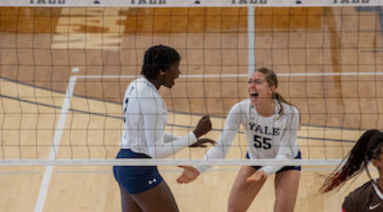 예일대 배구하는 모습