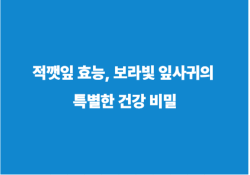 적깻잎 효능, 보라빛 잎사귀의 특별한 건강 비밀