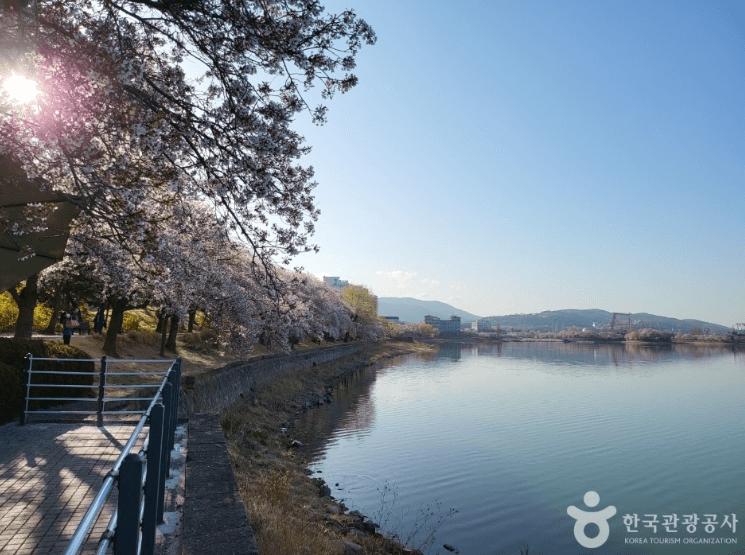 벚꽃이 아름다운 여행지 3