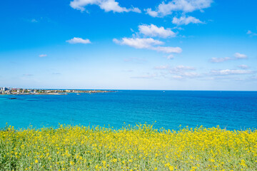 제주도 여행 필수품 탐나는전