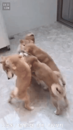 9월 11일 월 경제뉴스 부동산뉴스