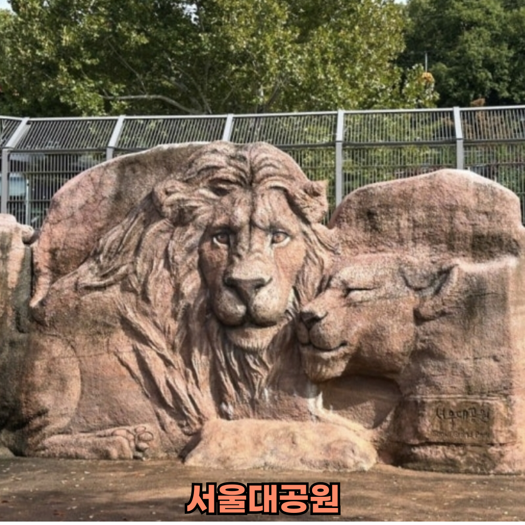 서울봄나들이핫플