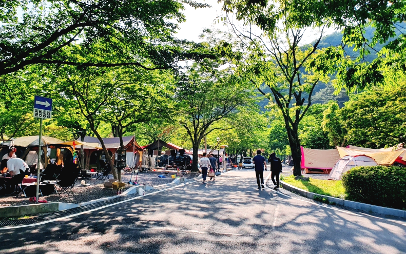 의령 벽계야영장