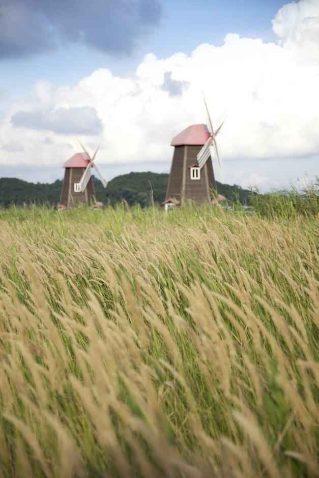 소래습지생태공원