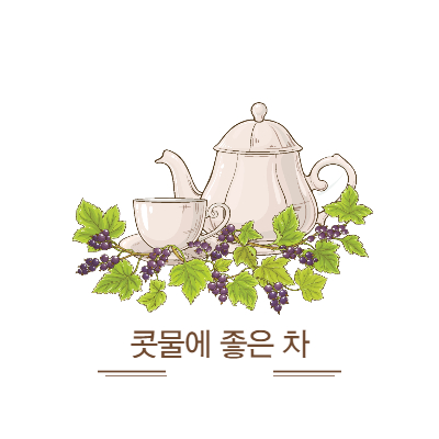 콧물에 좋은 차