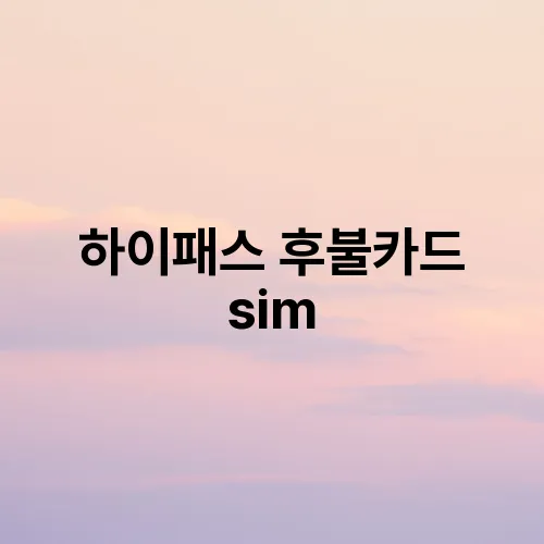 하이패스 후불카드 sim
