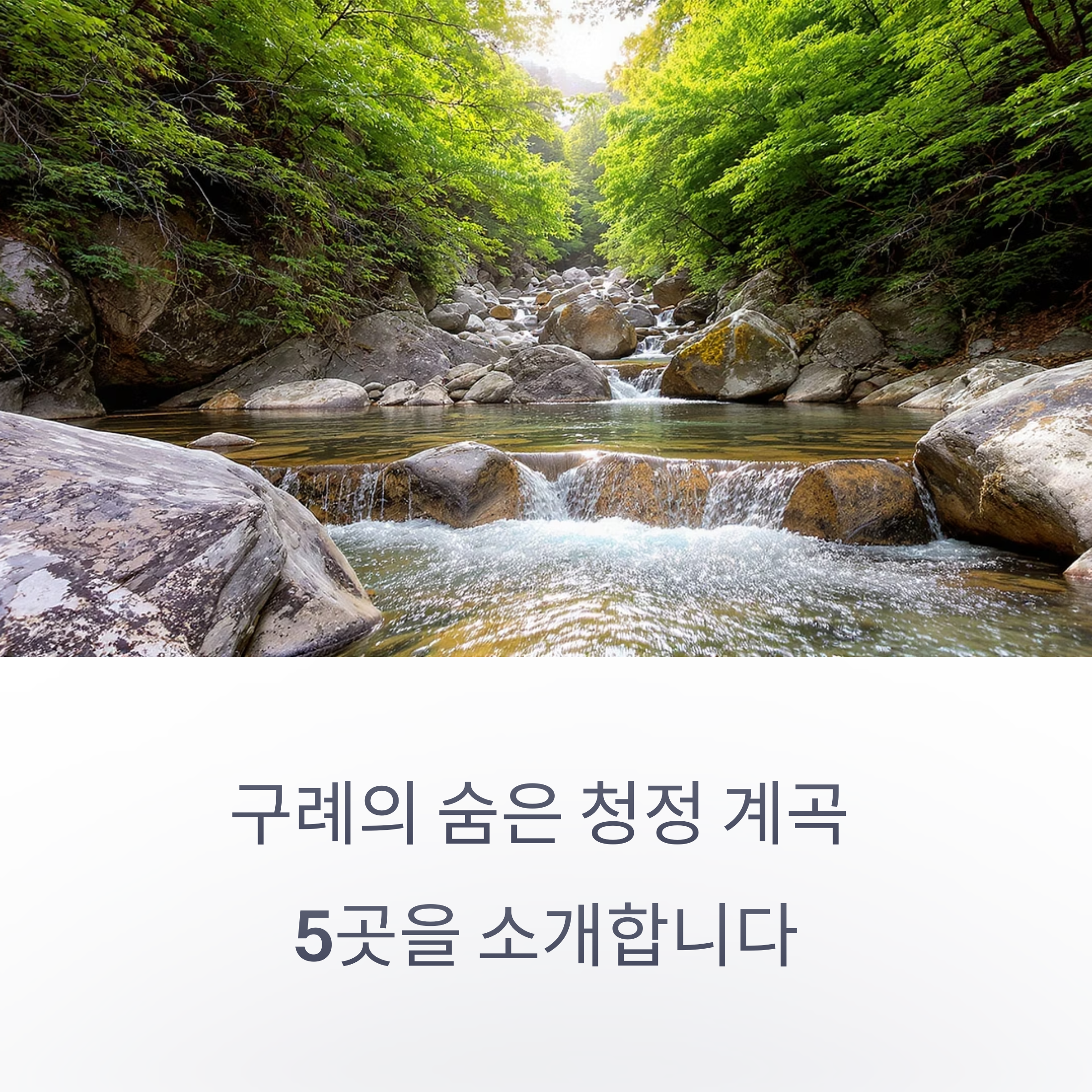 구례 피서지에서 만난 청정 계곡