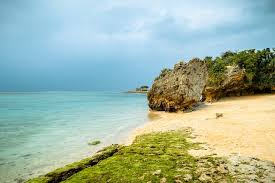 오키나와 렌트카