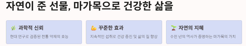마가목 효능