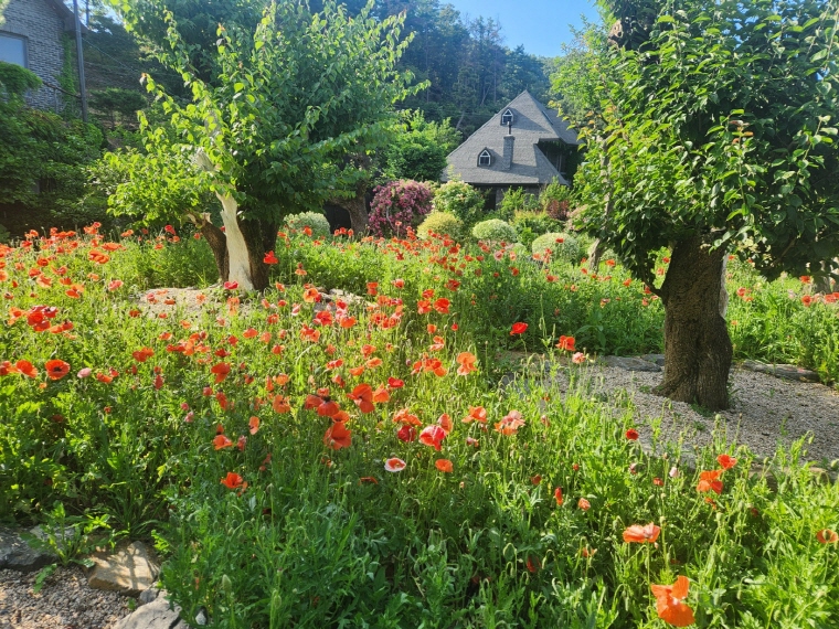 수생식물학습원 (천상의 정원)