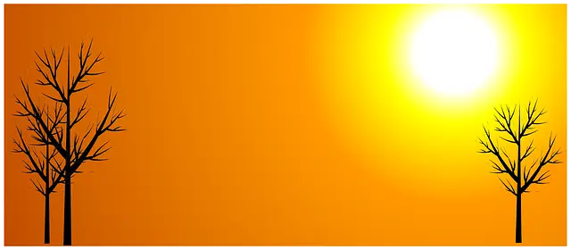 연금 저축 펀드