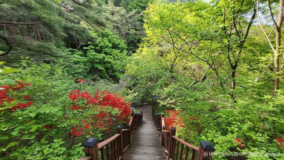 합천 가볼만한곳 베스트10