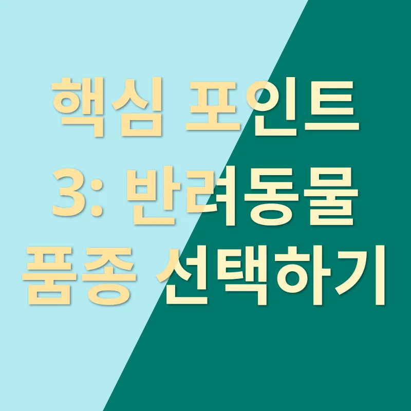반려동물 선물하기_3