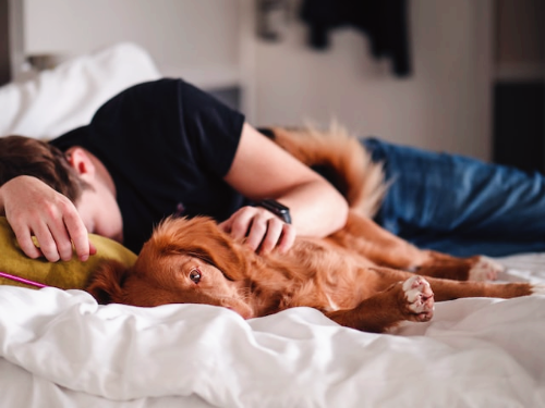 CRY 유전자 수면장애 챗gpt 뇌기능 불면증 수면유전자