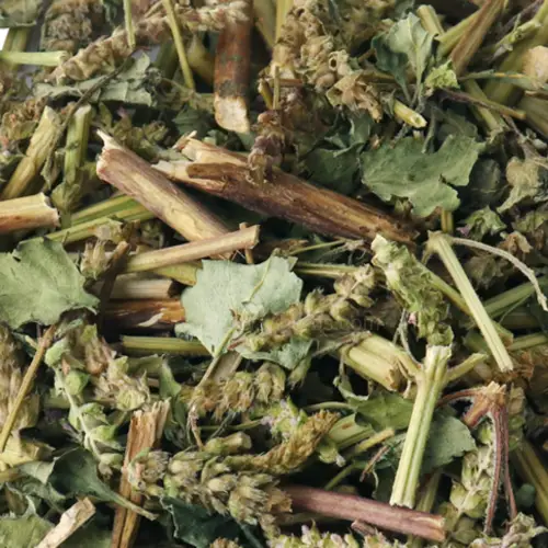 말린 향유 (Dried Elsholtzia ciliata