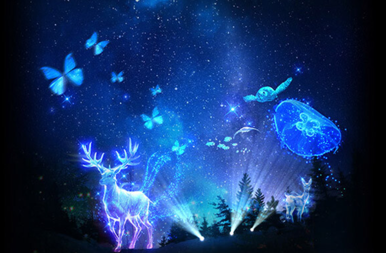 소나타오브라이트