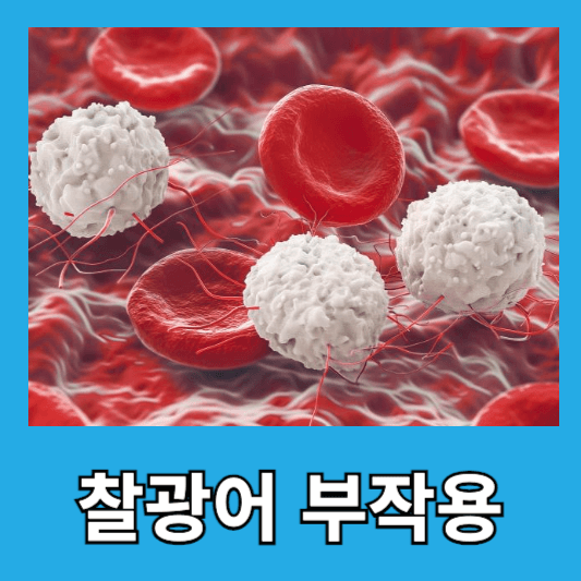 찰광어 부작용