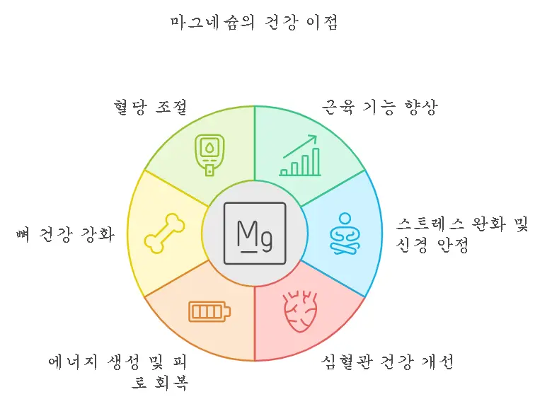 마그네슘 주요 효능