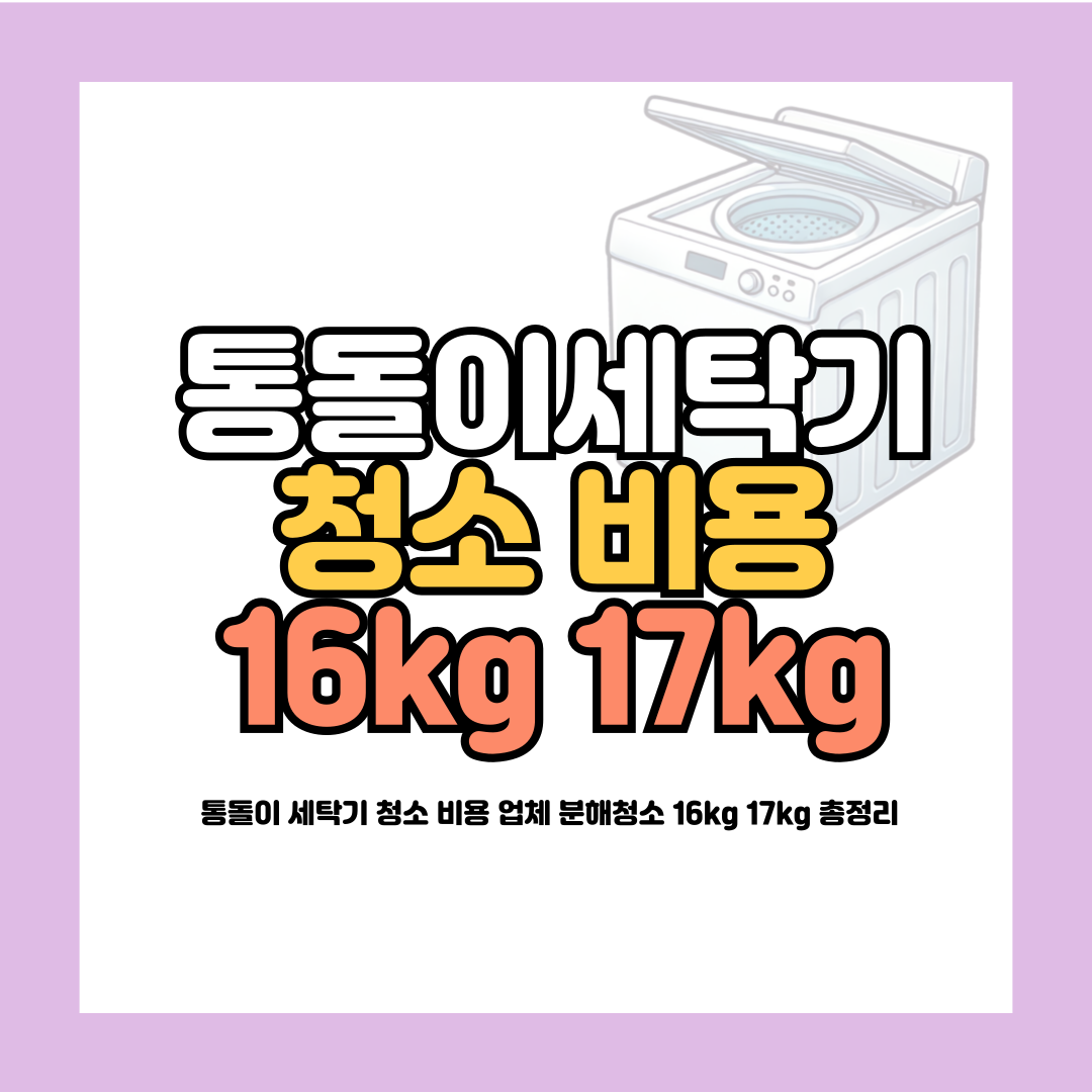 통돌이 세탁기 청소 비용