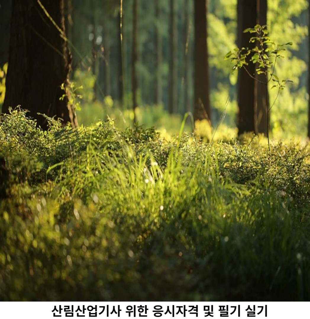 산림산업기사 응시 자격