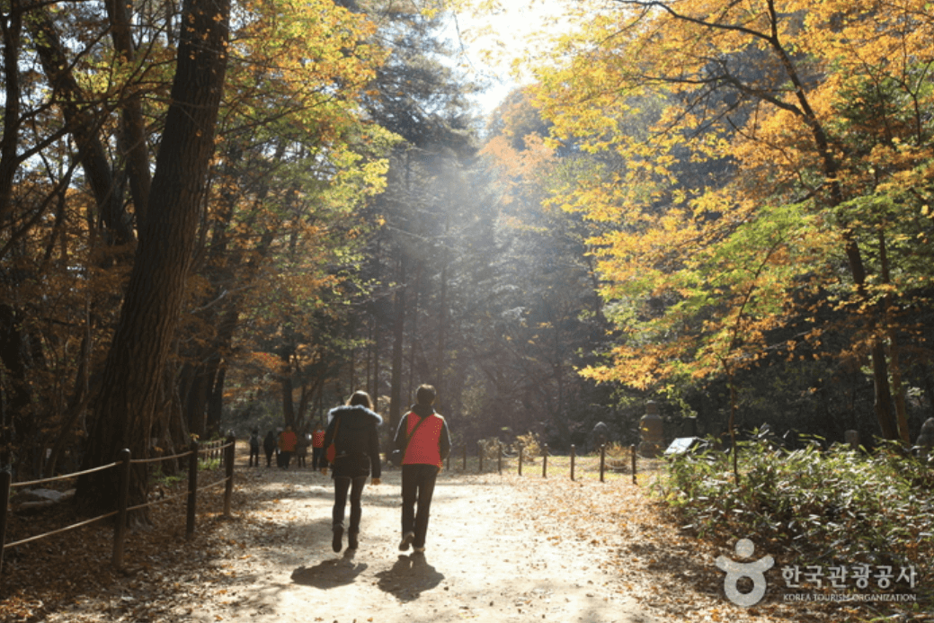 치악산 단풍
