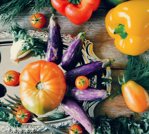 다이어트 식단 추천