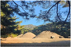 삼릉숲