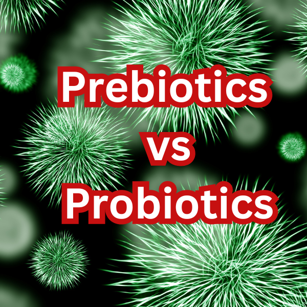 프로바이오틱스와 프리바이오틱스 차이
