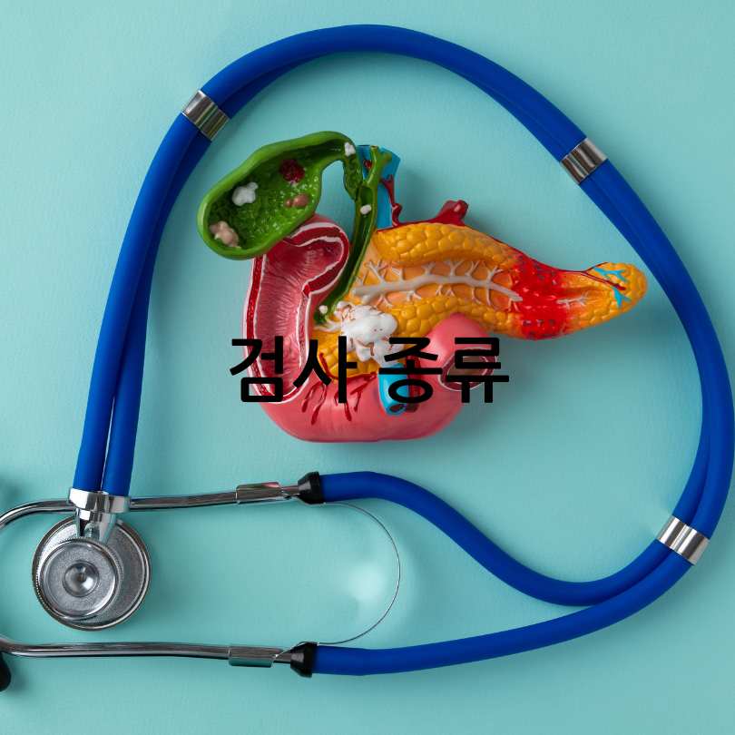 소화기내과 진료과목