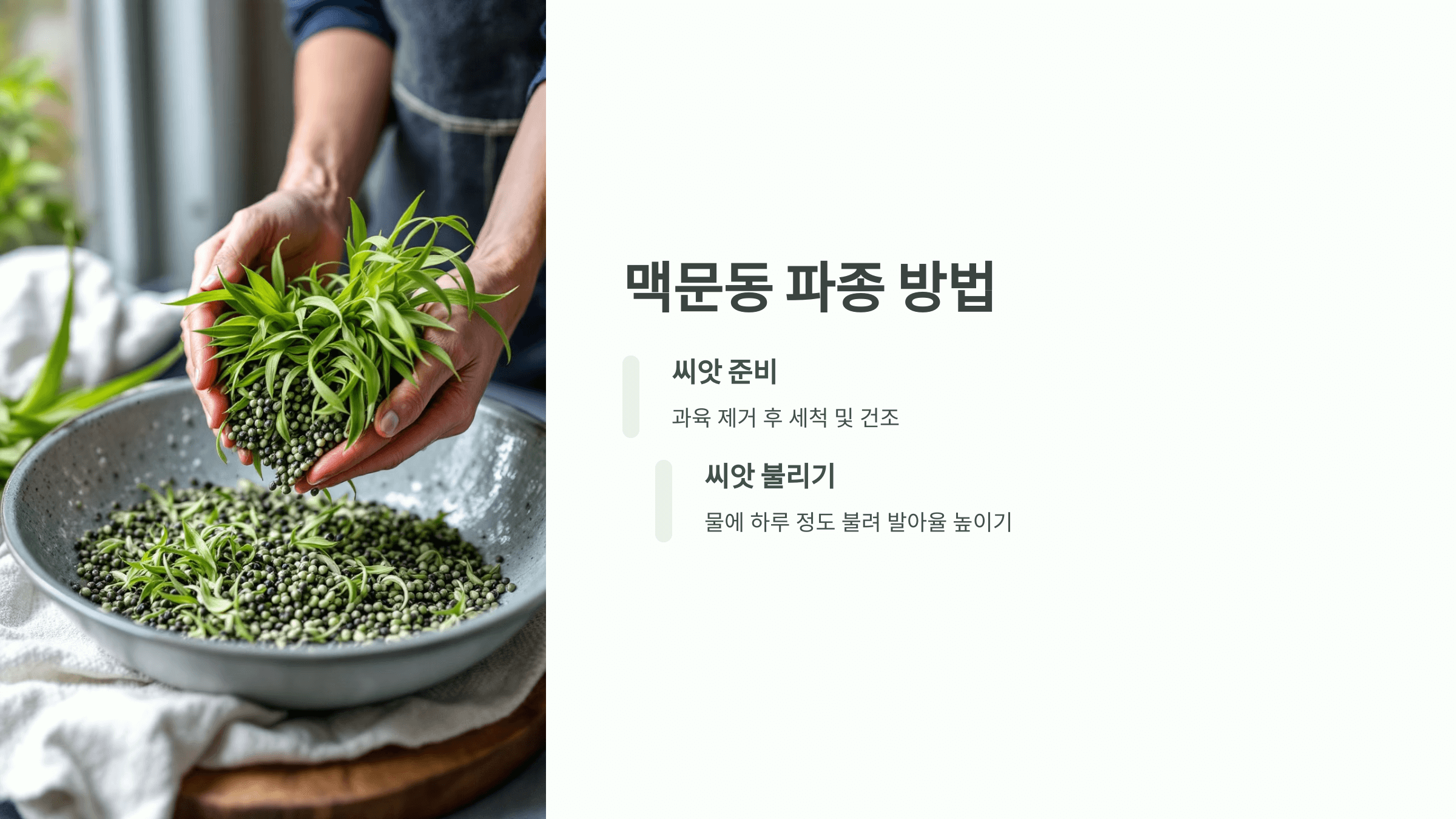 맥문동 사진입니다.