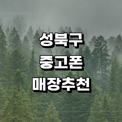 서울 성북구 중고폰
