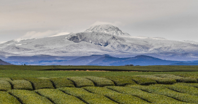 한라산 탐방로예약 시스템