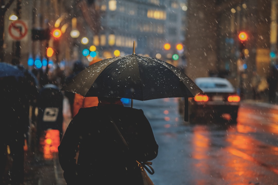 Umbrella